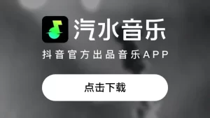 汽水音乐电脑版如何修改个人信息？