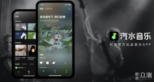 汽水音乐电脑版是否支持共享账号？