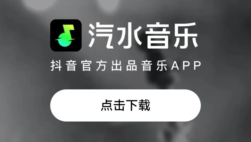 汽水音乐电脑版是否支持歌手电台？